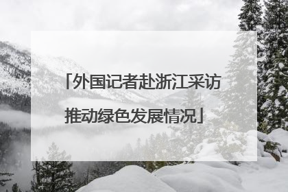 外国记者赴浙江采访推动绿色发展情况