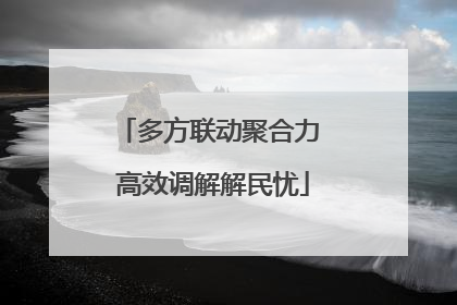 多方联动聚合力 高效调解解民忧