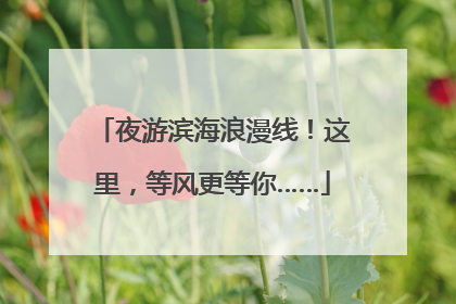 夜游滨海浪漫线！这里，等风更等你……