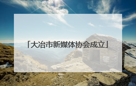 大冶市新媒体协会成立