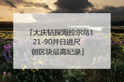 大庆钻探海拉尔乌121-90井日进尺 创区块最高纪录