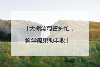 大棚葡萄管护忙，科学疏果助丰收