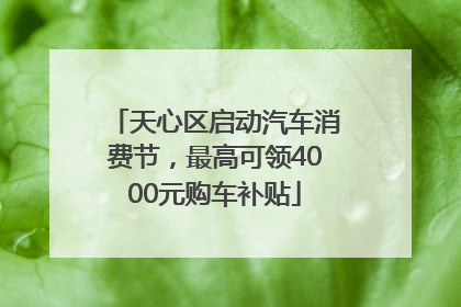天心区启动汽车消费节，最高可领4000元购车补贴