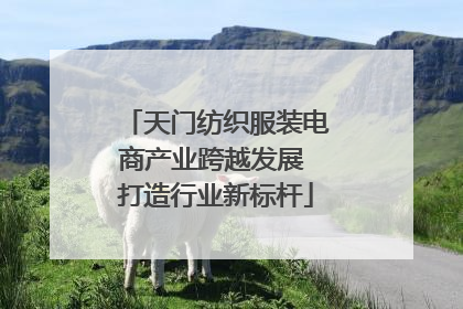 天门纺织服装电商产业跨越发展 打造行业新标杆