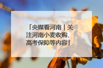 央媒看河南｜关注河南小麦收购、高考保障等内容