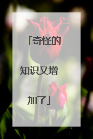 奇怪的知识又增加了
