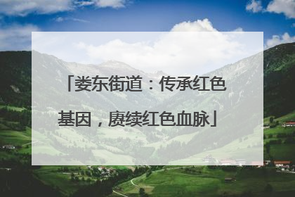 娄东街道：传承红色基因，赓续红色血脉