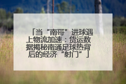 当“南哥”进球遇上物流加速：货运数据揭秘南通足球热背后的经济“射门”