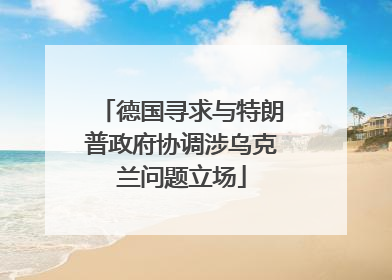 德国寻求与特朗普政府协调涉乌克兰问题立场