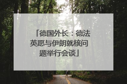德国外长：德法英愿与伊朗就核问题举行会谈