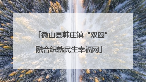 微山县韩庄镇“双圈”融合织就民生幸福网
