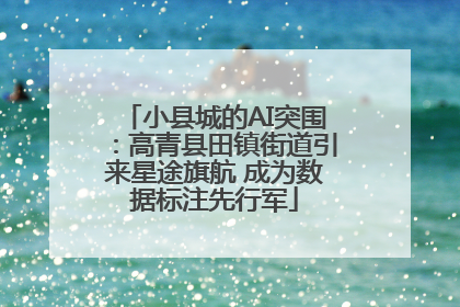 小县城的AI突围：高青县田镇街道引来星途旗航 成为数据标注先行军