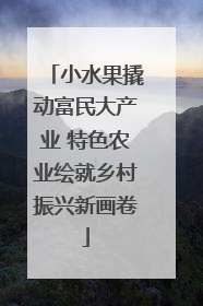 小水果撬动富民大产业 特色农业绘就乡村振兴新画卷