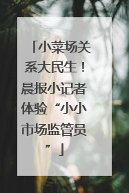 小菜场关系大民生！晨报小记者体验“小小市场监管员”