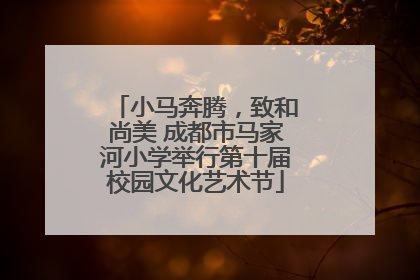 小马奔腾，致和尚美 成都市马家河小学举行第十届校园文化艺术节
