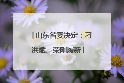 山东省委决定：刁洪斌、荣刚履新
