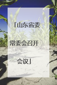 山东省委常委会召开会议
