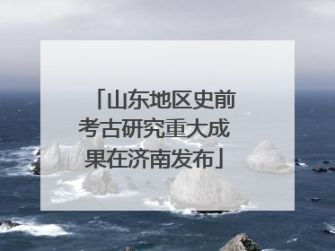 山东地区史前考古研究重大成果在济南发布