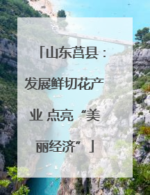山东莒县：发展鲜切花产业 点亮“美丽经济”