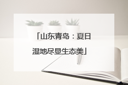 山东青岛：夏日湿地尽显生态美