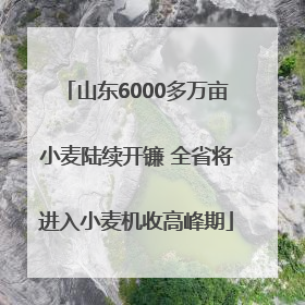 山东6000多万亩小麦陆续开镰 全省将进入小麦机收高峰期