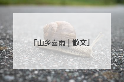 山乡喜雨｜散文