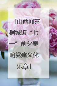 山西闻喜桐城镇“七一”前夕奏响党建文化乐章