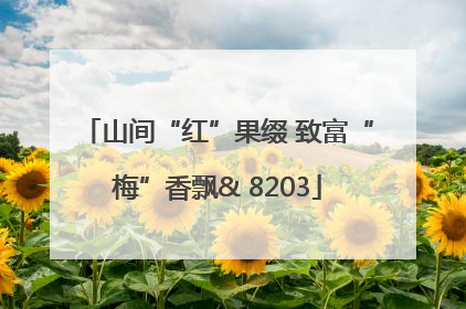 山间“红”果缀 致富“梅”香飘& 8203