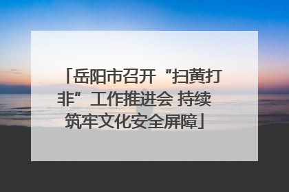 岳阳市召开“扫黄打非”工作推进会 持续筑牢文化安全屏障