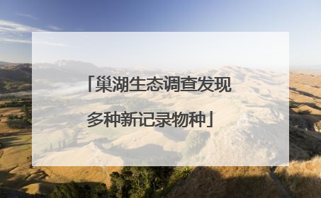 巢湖生态调查发现多种新记录物种