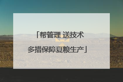 帮管理 送技术 多措保障夏粮生产