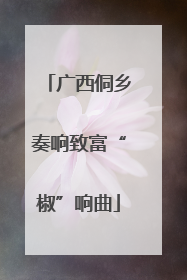 广西侗乡奏响致富“椒”响曲