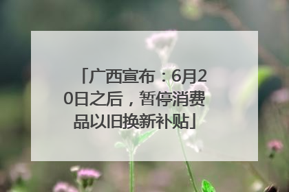 广西宣布：6月20日之后，暂停消费品以旧换新补贴