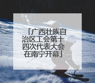 广西壮族自治区工会第十四次代表大会在南宁开幕