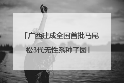 广西建成全国首批马尾松3代无性系种子园