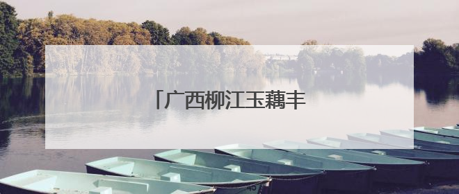 广西柳江玉藕丰收 村民采藕忙