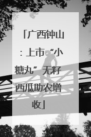 广西钟山：上市“小糖丸”无籽西瓜助农增收