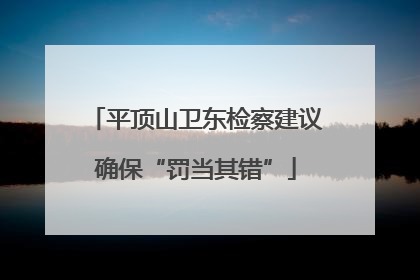 平顶山卫东检察建议确保“罚当其错”