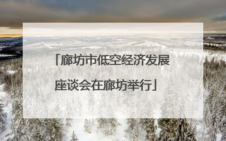 廊坊市低空经济发展座谈会在廊坊举行