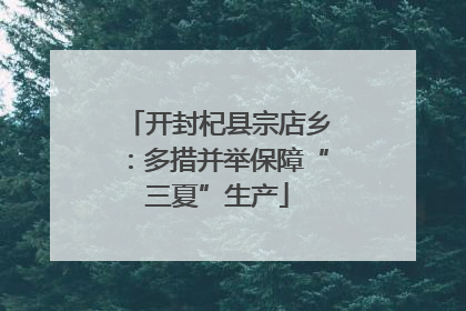 开封杞县宗店乡：多措并举保障“三夏”生产