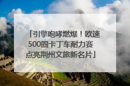 引擎咆哮燃爆！欧速500圈卡丁车耐力赛点亮荆州文旅新名片