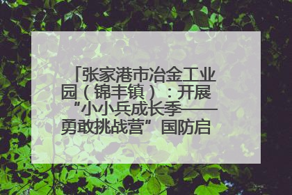 张家港市冶金工业园（锦丰镇）：开展“小小兵成长季——勇敢挑战营”国防启蒙教育活动