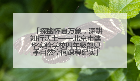 探幽怀夏万象，深耕知行沃土——北京市建华实验学校四年级部夏季自然空间课程纪实