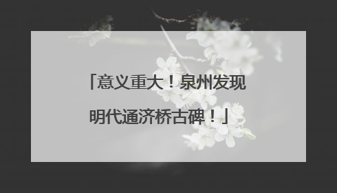 意义重大！泉州发现明代通济桥古碑！
