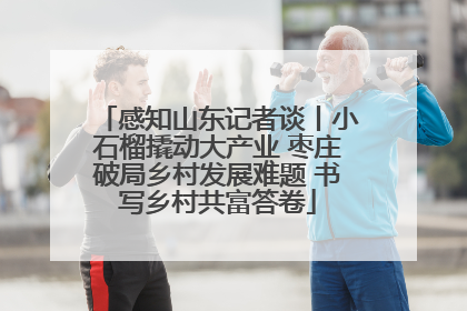 感知山东记者谈丨小石榴撬动大产业 枣庄破局乡村发展难题 书写乡村共富答卷