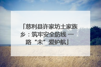 慈利县许家坊土家族乡：筑牢安全防线 一路“未”爱护航