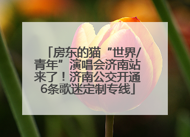 房东的猫“世界/青年”演唱会济南站来了！济南公交开通6条歌迷定制专线