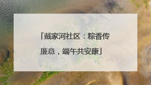 戴家河社区：粽香传廉意，端午共安康