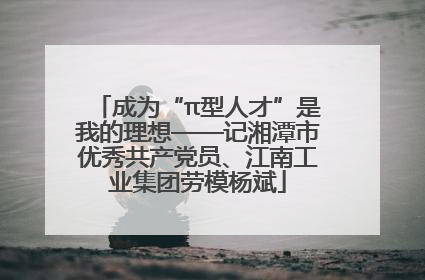 成为“π型人才”是我的理想——记湘潭市优秀共产党员、江南工业集团劳模杨斌