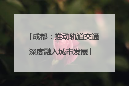 成都：推动轨道交通深度融入城市发展